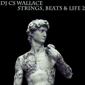Strings, Beats and Life 2-FREE Download!
